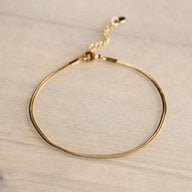 Roestvrij stalen enkelband platte slang - goud - AN909