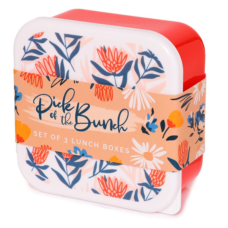 Set of 3 Lunch Box Snack Pots S/M/L - Daisy Lane, Protea and Buttercup Pick of the Bunch