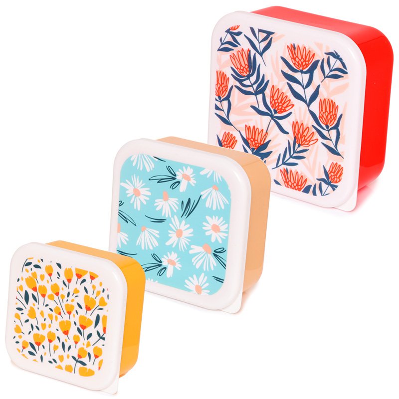 Set of 3 Lunch Box Snack Pots S/M/L - Daisy Lane, Protea and Buttercup Pick of the Bunch