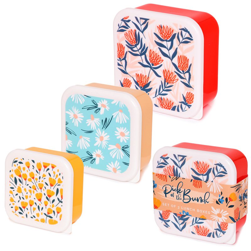 Set of 3 Lunch Box Snack Pots S/M/L - Daisy Lane, Protea and Buttercup Pick of the Bunch