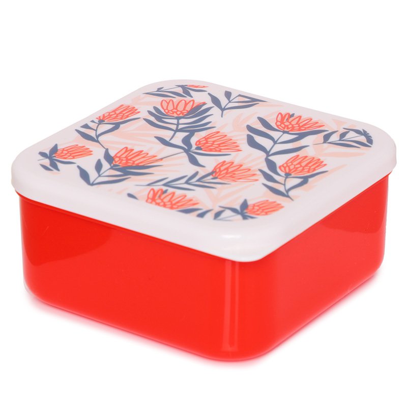 Set of 3 Lunch Box Snack Pots S/M/L - Daisy Lane, Protea and Buttercup Pick of the Bunch