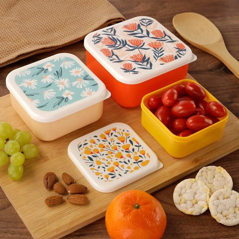 Set of 3 Lunch Box Snack Pots S/M/L - Daisy Lane, Protea and Buttercup Pick of the Bunch